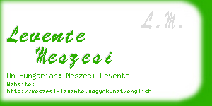 levente meszesi business card